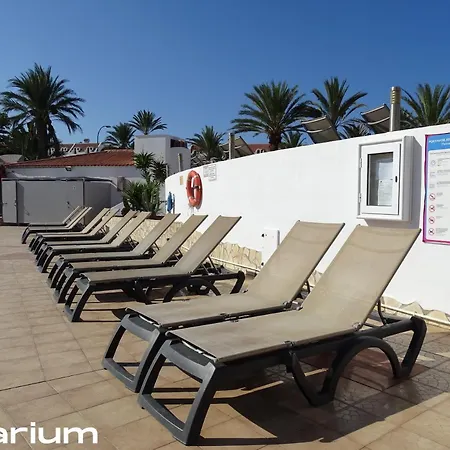 Apartament Americas Luxury Low-cost With Terrace & Views Playa de las Americas (Tenerife)