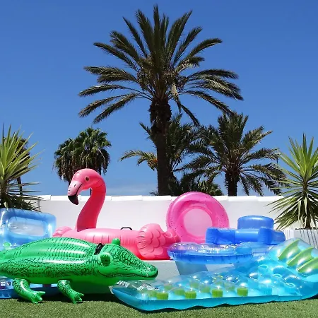 Americas Luxury Low-cost With Terrace & Views Lejlighed Playa de las Américas